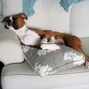 Meet your Posher, Tracey